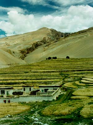 Yari village, far NW Nepal