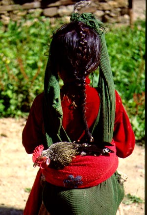 village girl with chicken