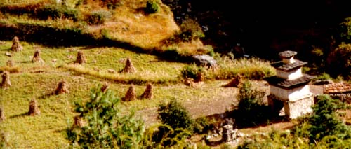 near Sama: Manaslu trek, Nepal Himalaya