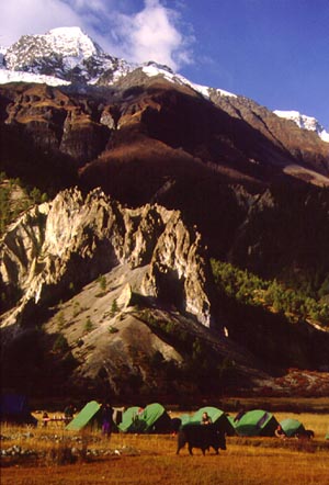 campsite beneath cliffs