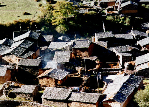 monks reading, Lo gompa, Nupri, Manaslu region