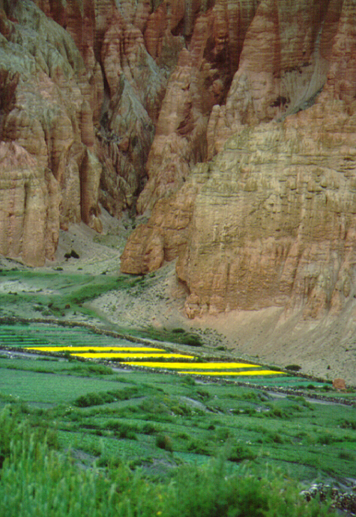 mustand fields, Trangmar: Mustang