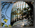 dome of Gir Amir: Samarkand