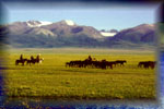 Grasslands near Bayinbulak